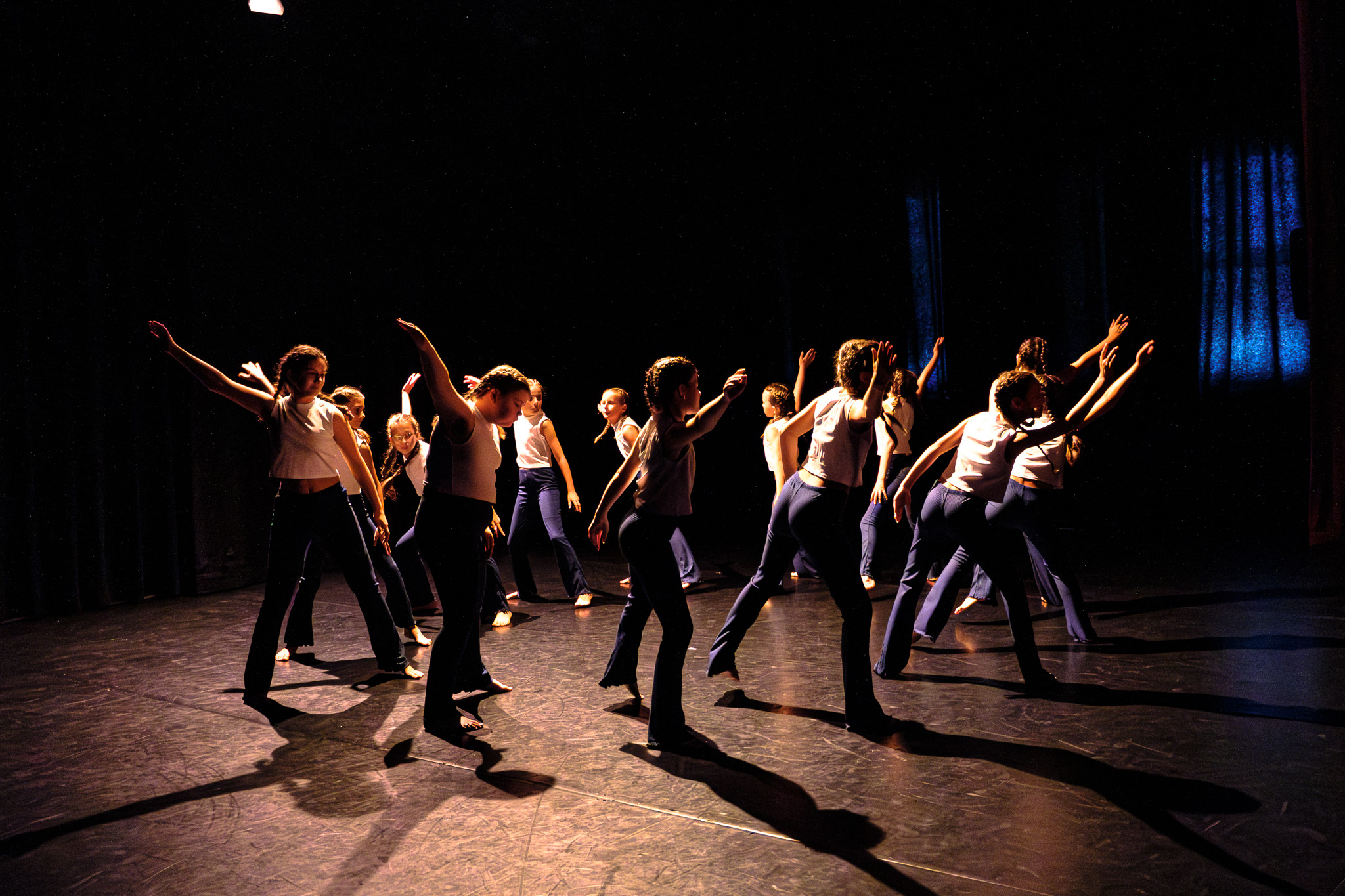 Dance FABulous Studio performance